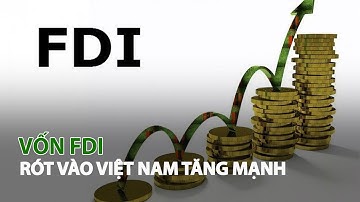 Vốn FDI rót vào Việt Nam tăng mạnh| VTC14