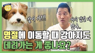 Is it better to take my dog with me when traveling for the holidays? | Kang Hyungwook's Trivia Q&A