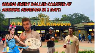 Riding Every Roller Coaster at Animal Kingdom in 1 Day 2026