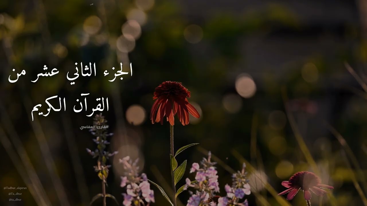 الجزء الثاني عشر من القرآن الكريم كامل | تلاوة العفاسي 