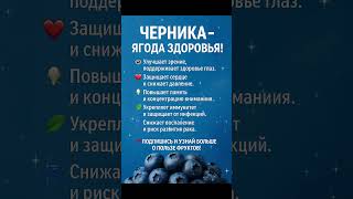 🫐ЧЕРНИКА - СУПЕРСИЛА ДЛЯ ЗДОРОВЬЯ! 🫐