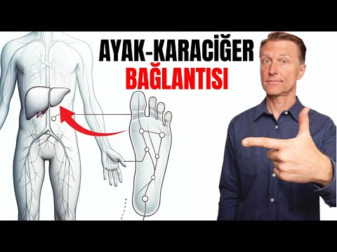 Dr. Eric Berg - Türkçe Kanalı