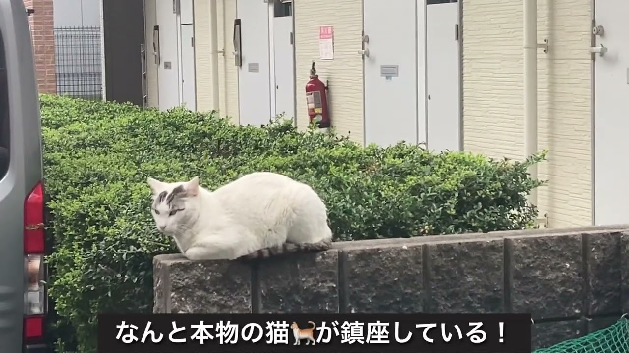 躍進する名駅３丁目を地区丸ごと紹介❗️第2三交ビル、プラウドタワー名駅、グランドメゾン名駅東、金色の新商業ビルオープンなどなどめじろ押し❗️
