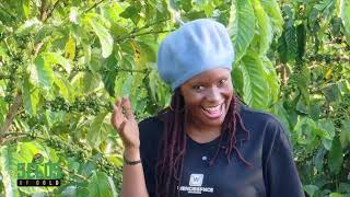 See how this Coffee farmer in Masaka transformed her Yields through proper Nutrition | Seeds Of Gold