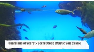 Guardians of Secret - Secret Code (Mystic Voices Mix) taken from the "Best Sound of Chill 2016