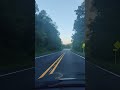 ✨ZENDEL✨ el camino al despertar