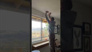 Man's Attempt to Free a Flicker Ends with Bird Back in the House