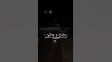 اكتب شيء تؤجر عليه ❤🌿 || القارئ معاذ شيخون 😴🎧