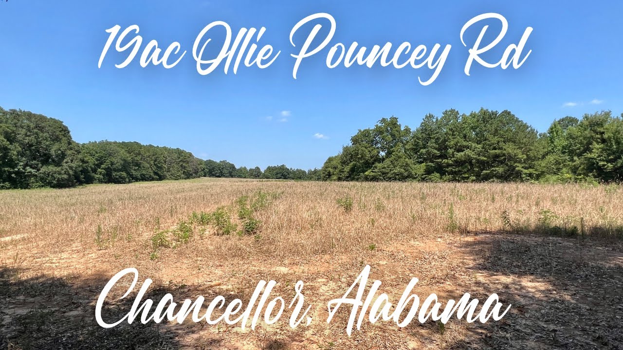 19ac Land for Sale. Ollie Pouncey Road Chancellor AL YouTube
