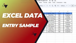 Excel Data Entry Live Project | My First Work Sample for Fiverr#DataEntry #ExcelProject