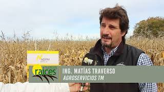 Ing.  Matias Traverso -  Agroservicios TM
