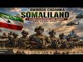Warbixin Halisa Xasan Sheekh Haduu Soo Weeraro Somaliland Waa Tu Ku Dhimanayay Siyaad Bara 