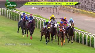 Vidéo de la course PMU HANDICAP 3 & UP TURF