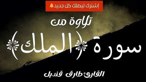 حصريا2025 | سورة الملك | القارئ #طارق_قنديل#قران