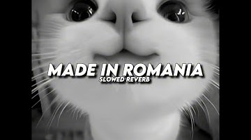 DJ Yali Yali Yali Made In Romania x Melody Habibi Slowed - Viral TikTok 2025 (SMXXL x QUEEN FIRA)