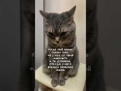 Все просто и