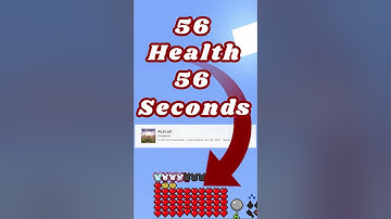 Max Health in Under a Minute - How To - RLCraft