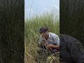 #funny video❤️ #comedy😁#Biriyani