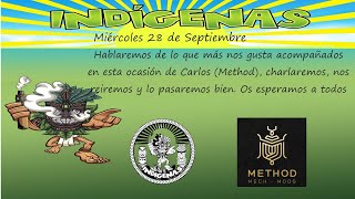 INDIGENAS VAPE T3 P04