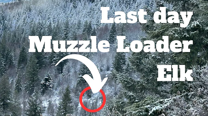 Muzzleloader Idaho December Elk