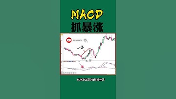 股票买卖 | MACD抓暴涨#shorts#stockmarket#投资