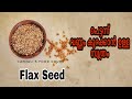 Flax Seed-100%വണ്ണവും കൊഴുപ്പും ദോഷമില്ലാതെ കുറക്കും ഈ കുഞ്ഞൻ വിത്ത്||FlaxsSeed for Weight loss