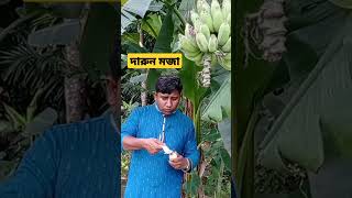 Village Banana Is Very Testy Studybd