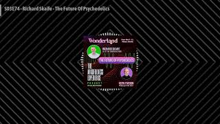 THE MINDFULNESS EXPERIENCE - S03E74 - Richard Skaife - The Future Of Psychedelics
