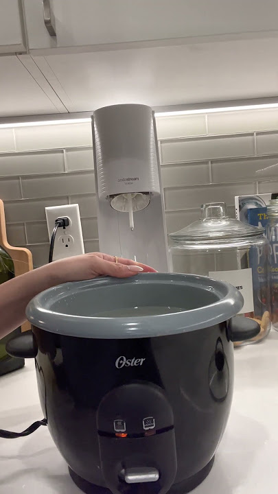 My Oster DuraCeramic 6-Cup Rice Cooker: Review & Cooking Demo