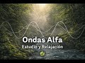 Música para Concentrarse y Estudiar 📚 | 1 Hora de Enfoque Profundo
