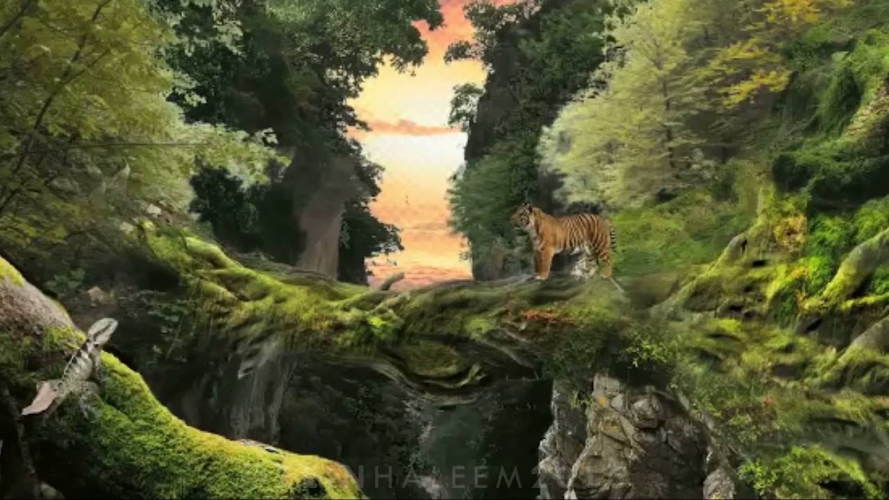 Making Of a Jungle Scene In Photoshop - YouTube