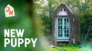 My Tiny House CABIN Tour | One Man and His New Dog
