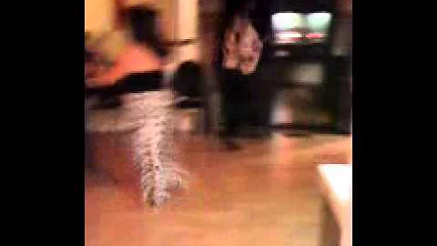 Qik - Mobile video by Keith Mattison