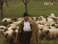 Zestrea Românilor - Alesul oilor (Ţinutul Mehedinţiului)