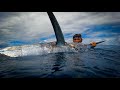 Catching and swimming with a Black Marlin!