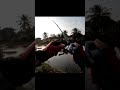 ปลาอุ๊ย!!!.. ว่าแล้ว!!. 🤣 #ตกปลาช่อน #สาระลัวร์ #fishing #shimano