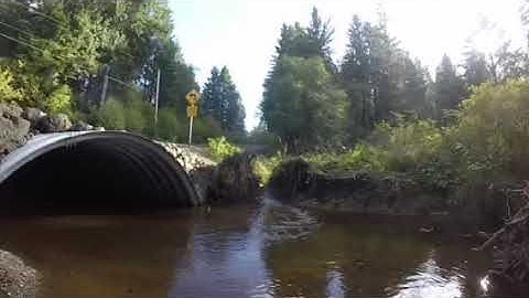 Culvert replacement on the lower Wynoochee River. 52 seconds.