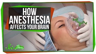 What Does Anesthesia Do To Your Brain?