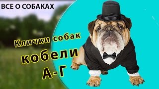 Клички собак. Кобели. А-Г.(, 2016-10-26T07:19:05.000Z)