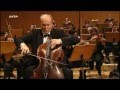 Miniature de la vidéo de la chanson Concerto For Violoncello And Orchestra In B Minor, Op. 104: Ii. Adagio Ma Non Troppo