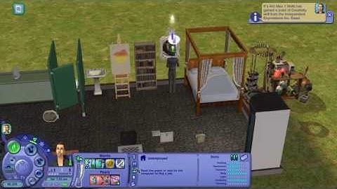 The Sims 2 (Not quite) Speedrun (Max All Skills)