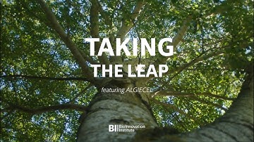 BioInnovation Institute