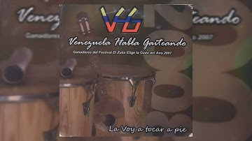 VHG - La Voy a Tocar a Pie
