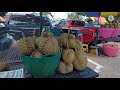 ราคาทุเรียน ราคาเงาะ ตลาดวัดศรีเมือง จ.จันทบุรี