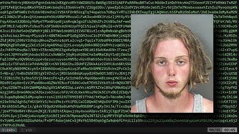 Web Scraping Mugshots with HAR Base64 Content