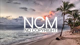 Plastic Growls - BRASTC [Vlog No Copyright Music]