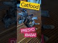 Brgy. CAT - TAIN #cats #funny #shorts