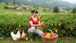 Download Lagu Un Día Tranquilo en el Campo — Cosechando Ají Dulce para Vender en el Mercado | Vida Rural MP3