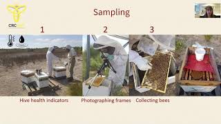 Clarisa Castaños Honey Bee Nutrition - Early Detection Of Malnutrition And Colony Collapse