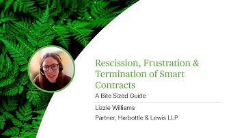 Rescission, Frustration & Termination of Smart Contracts - A Bite Sized Guide - Webinar